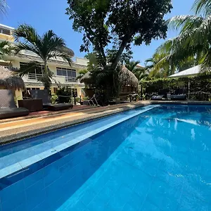 Resort Palms Cove, Panglao